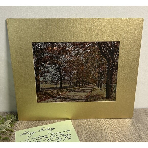 Vintage Silvery Fantasy Foil Engraving Print Fall Leaves Autumn Trees USA - Picture 1 of 13